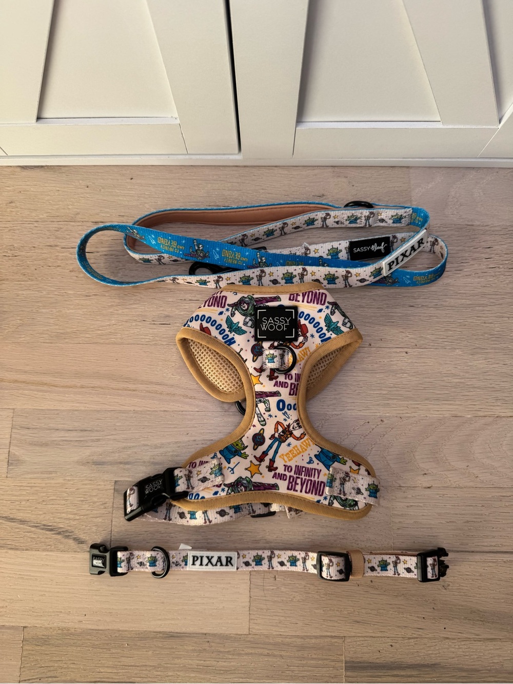 NWOT 3 piece Sassy Woof x Disney Pixar Toy Story Walk Set,